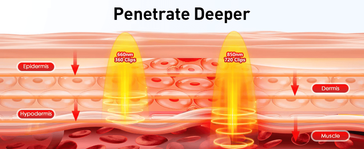 InzysJointRelief - Red Light Therapy Belt for Pain Relief - InzysJointRelief