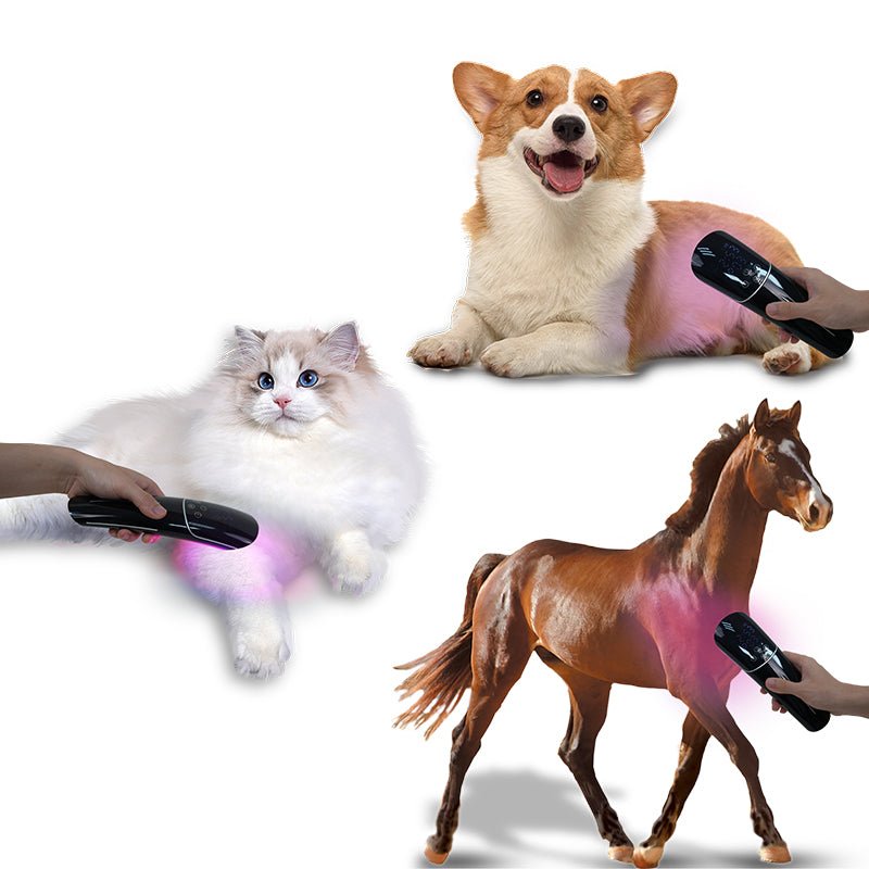 InzysJointRelief - Super Strength Cold Laser Therapy Device LLLT - InzysJointRelief