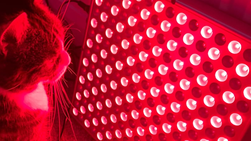 What to Look for in a Red Light Therapy Device (Avoid These Mistakes)